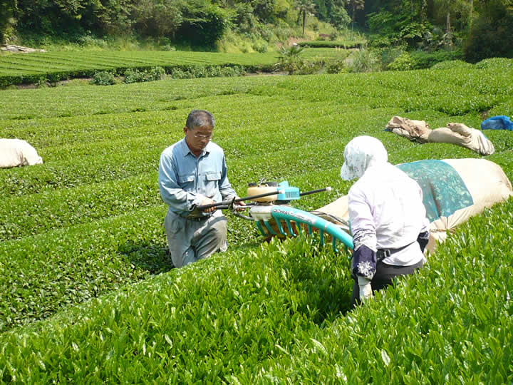 村松二六